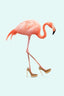 Fancy Flamingo