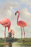 Fishing With Flamingos