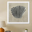 Sea shell