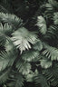 Jungle Fern