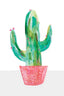 Painted Cactus In Coral Plant Pot