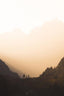 Lonely Tree In The Swiss Alps At Sunset