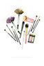 Make Up Brushes