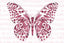 Pink Butterfly