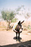 Donkey in Agafay desert II