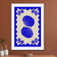 Blue Seashell Stories