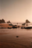 Surf Boards At The Coast