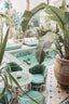 Tropical Riad In Marrakech