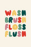 Wash brush floss flush